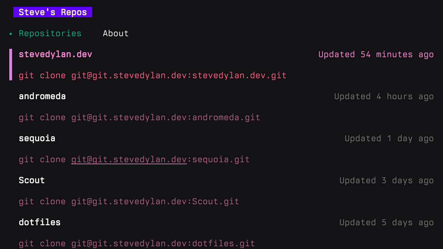 ssh git demo